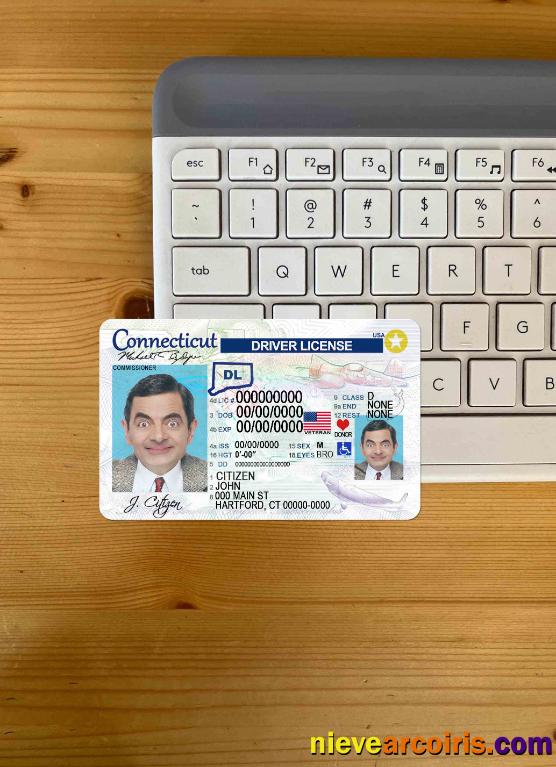 USA Connecticut driving license photolook